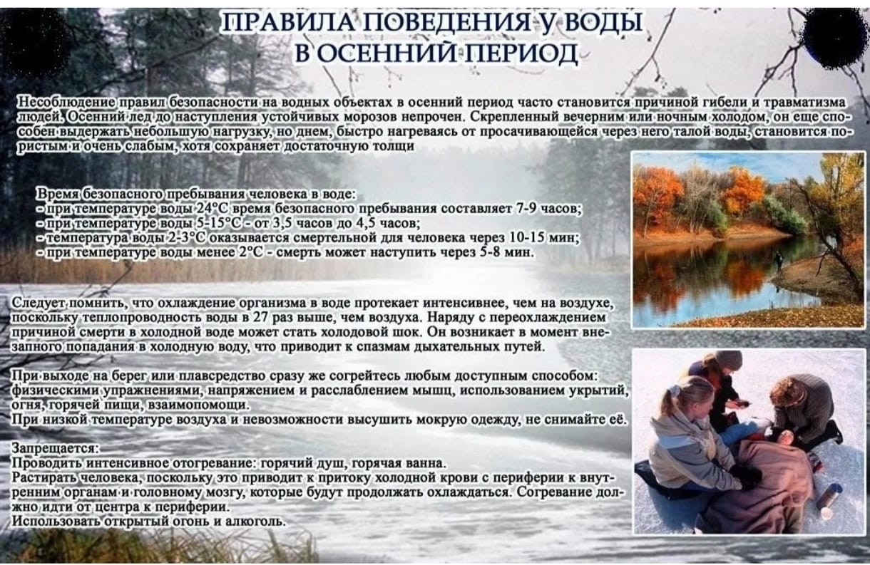 WhatsApp Image 2024-11-05 at 13.52.05.jpeg